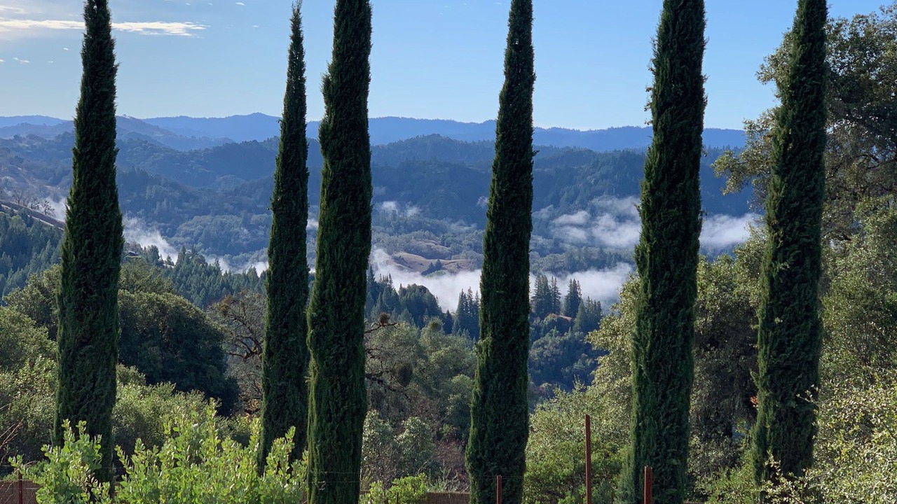 Photo of Others in California Wine Country