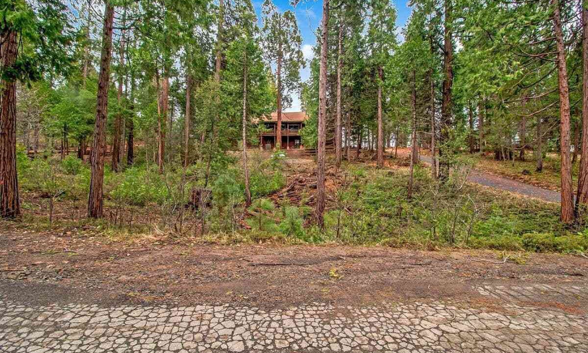 Photo of Outdoor in Mariposa