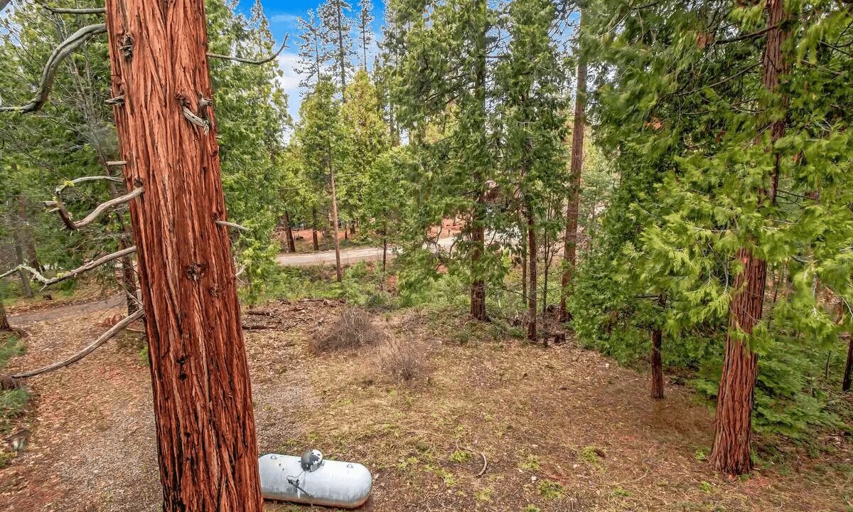 Photo of Outdoor in Mariposa