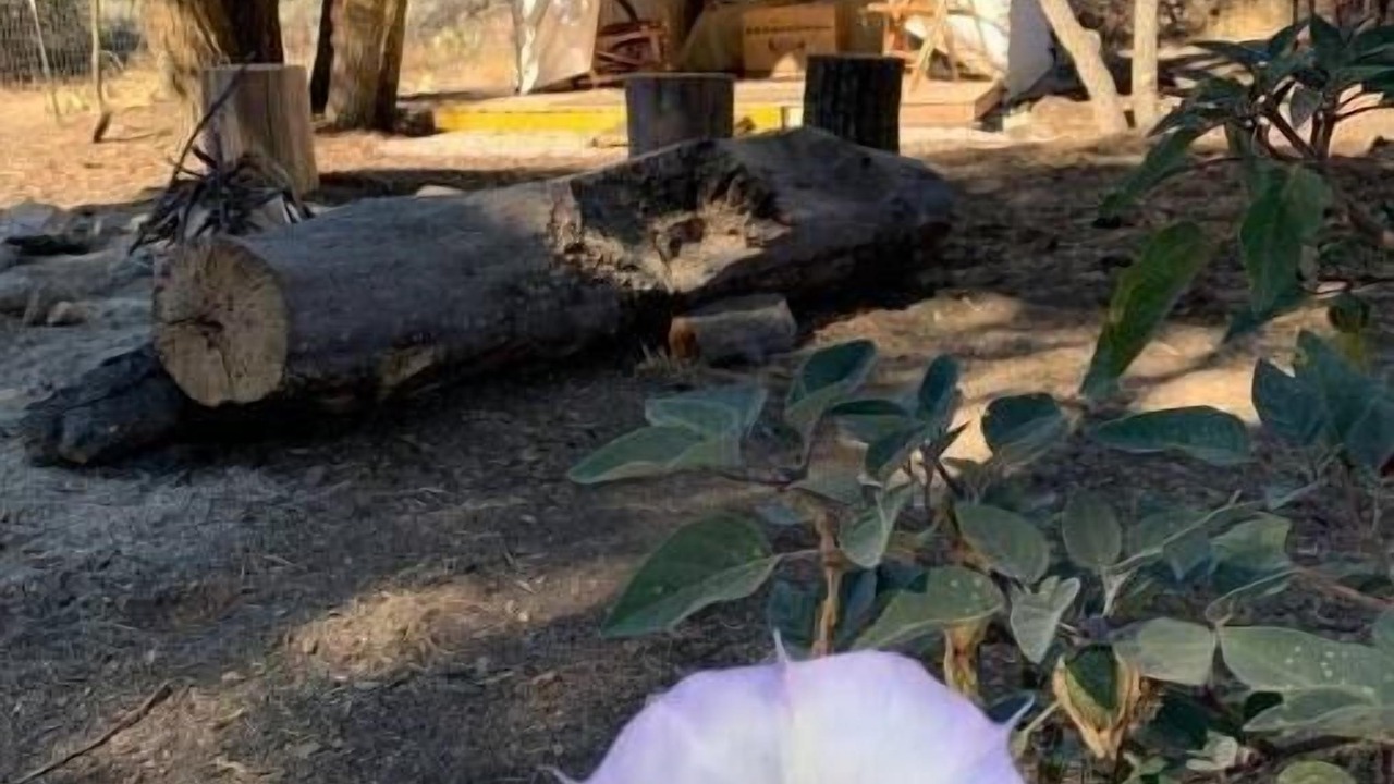 Photo of Outdoor in Warner Springs