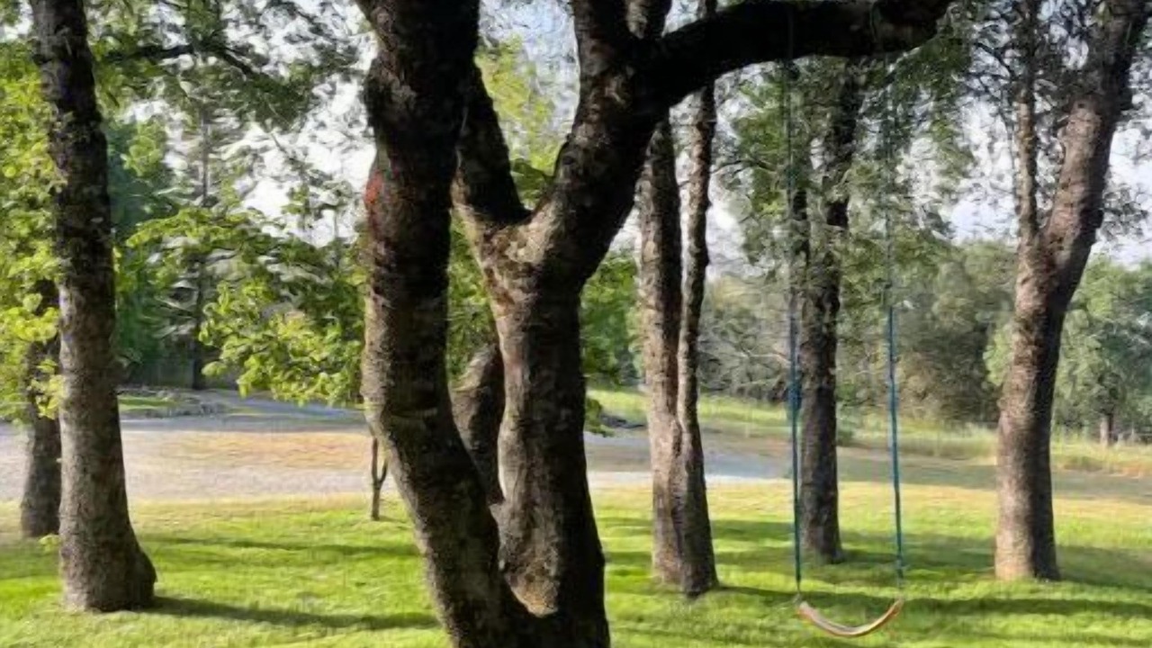 Photo of Outdoor in Grass Valley