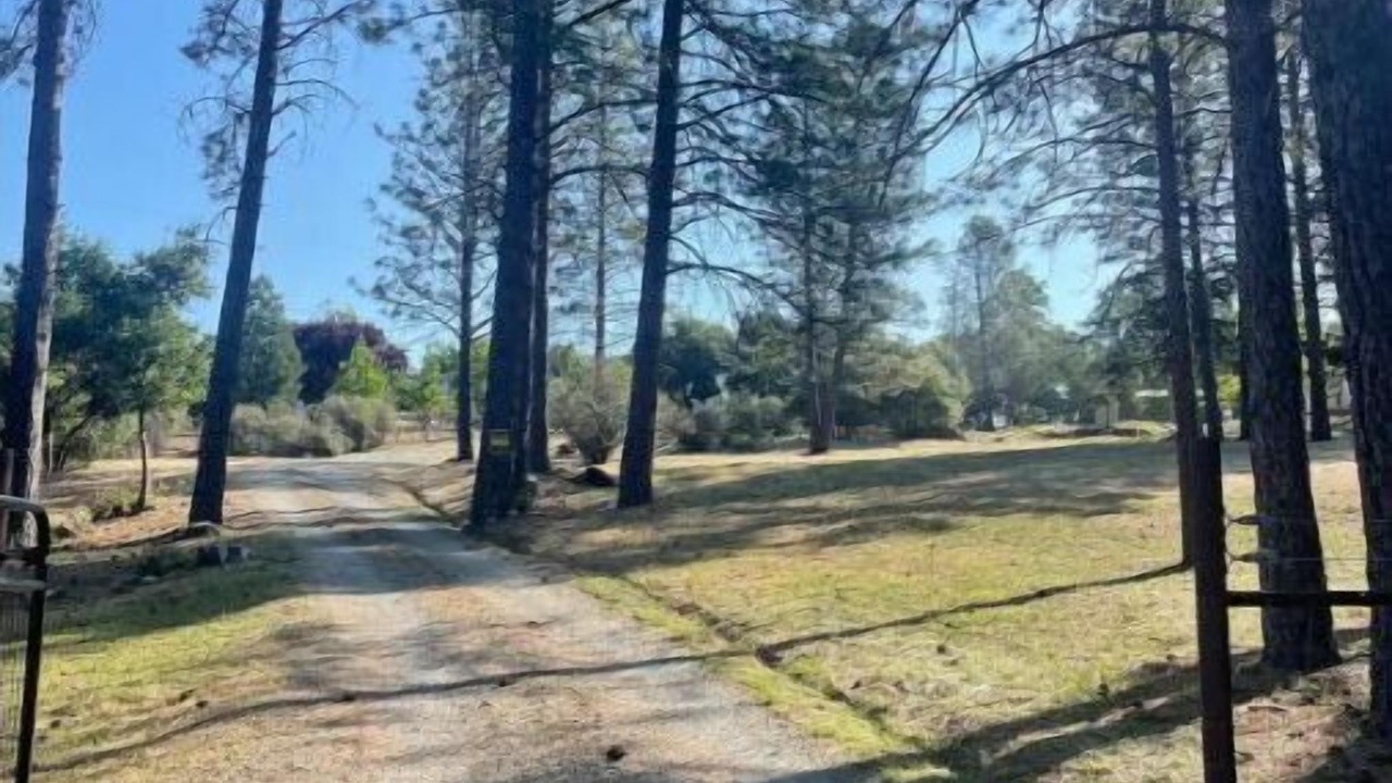 Photo of Others in Grass Valley
