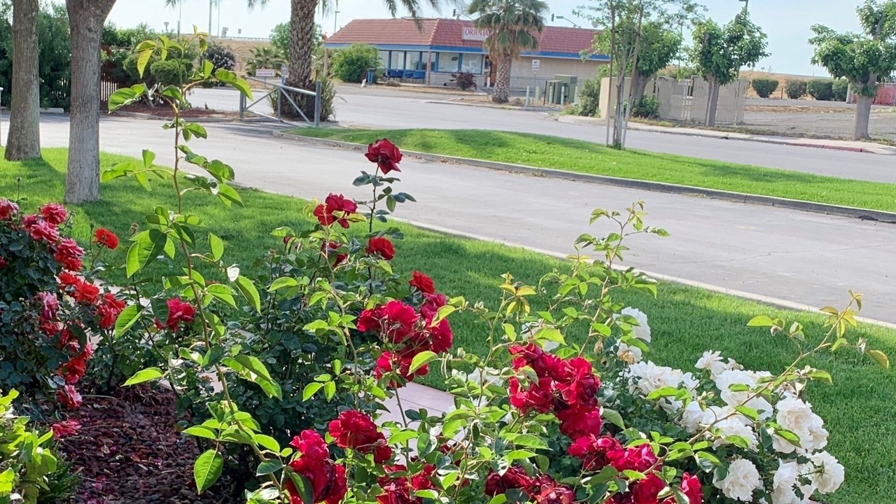 Photo of Outdoor in Coalinga
