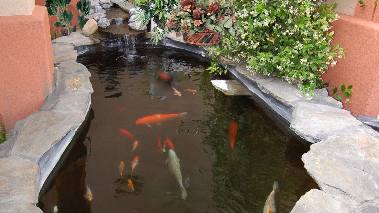 Photo of Outdoor in Red Bluff