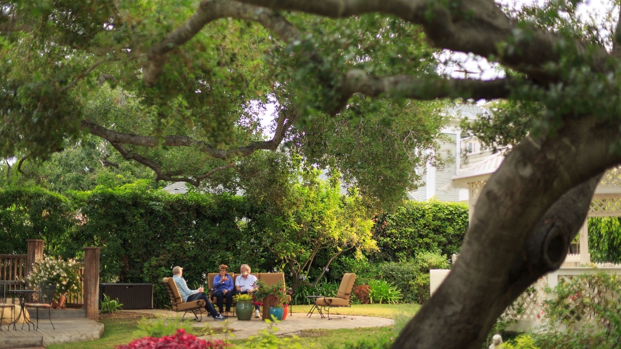 Photo of Outdoor in Oak Park