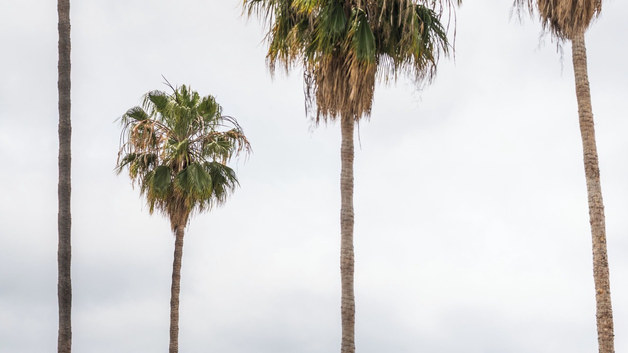 Photo of Outdoor in Santa Clara