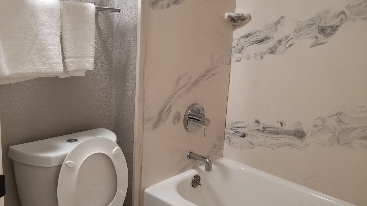 Photo of Bathroom in South Natomas