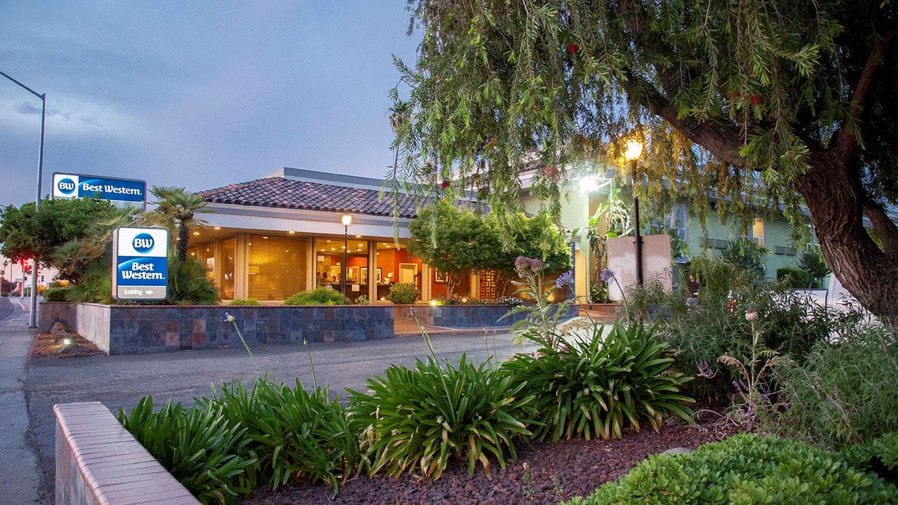 Photo of Outdoor in Raisin