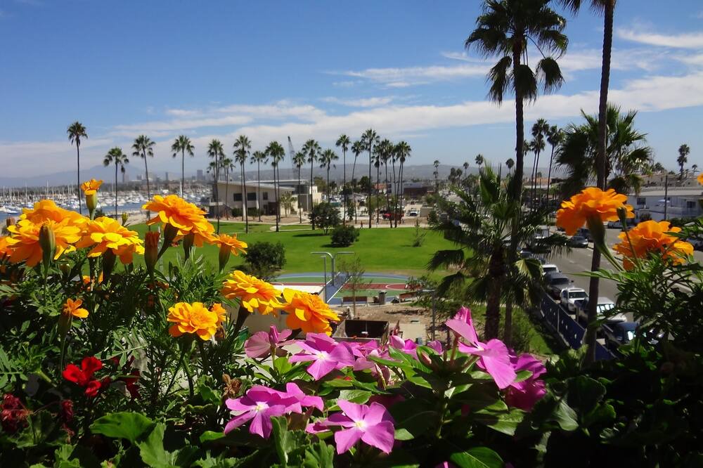 Photo of Others in Balboa Peninsula