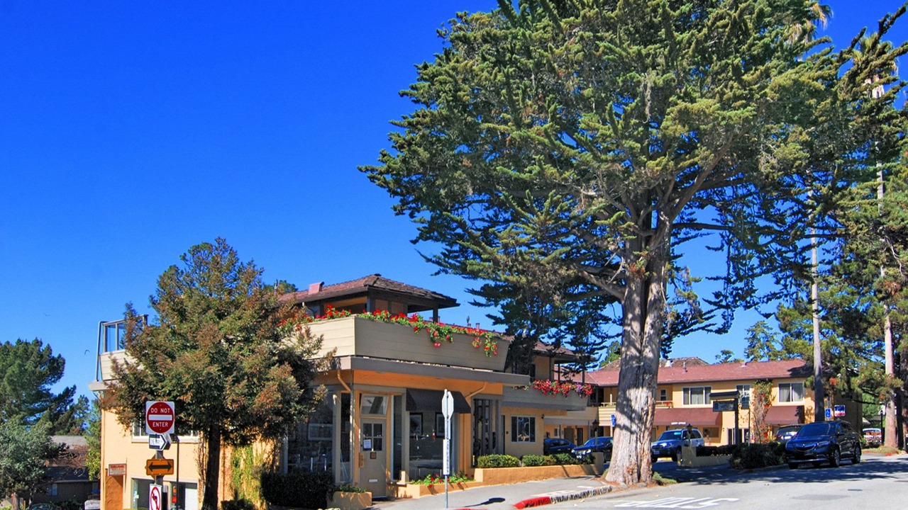 Photo of Outdoor in Northwest Carmel