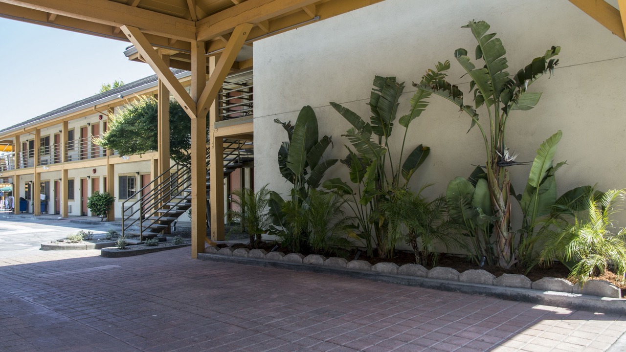 Photo of Outdoor in Westside Santa Cruz