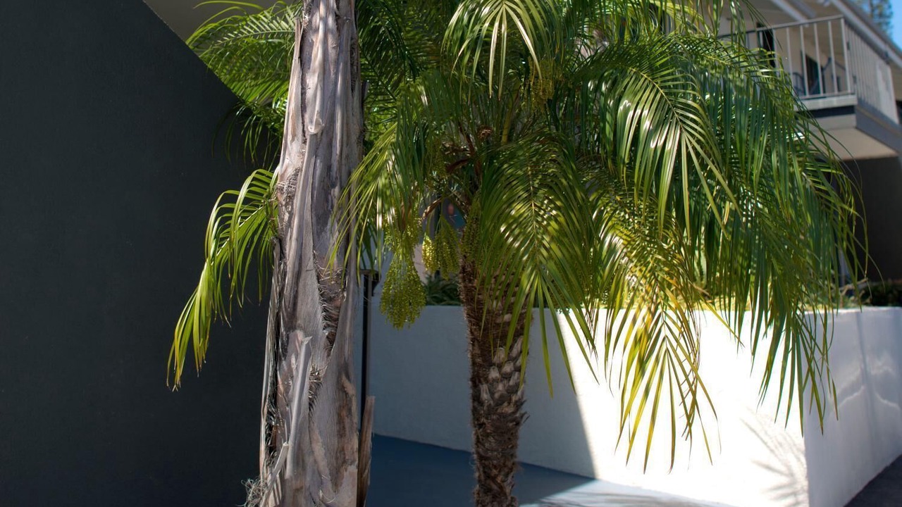Photo of Outdoor in Upper East