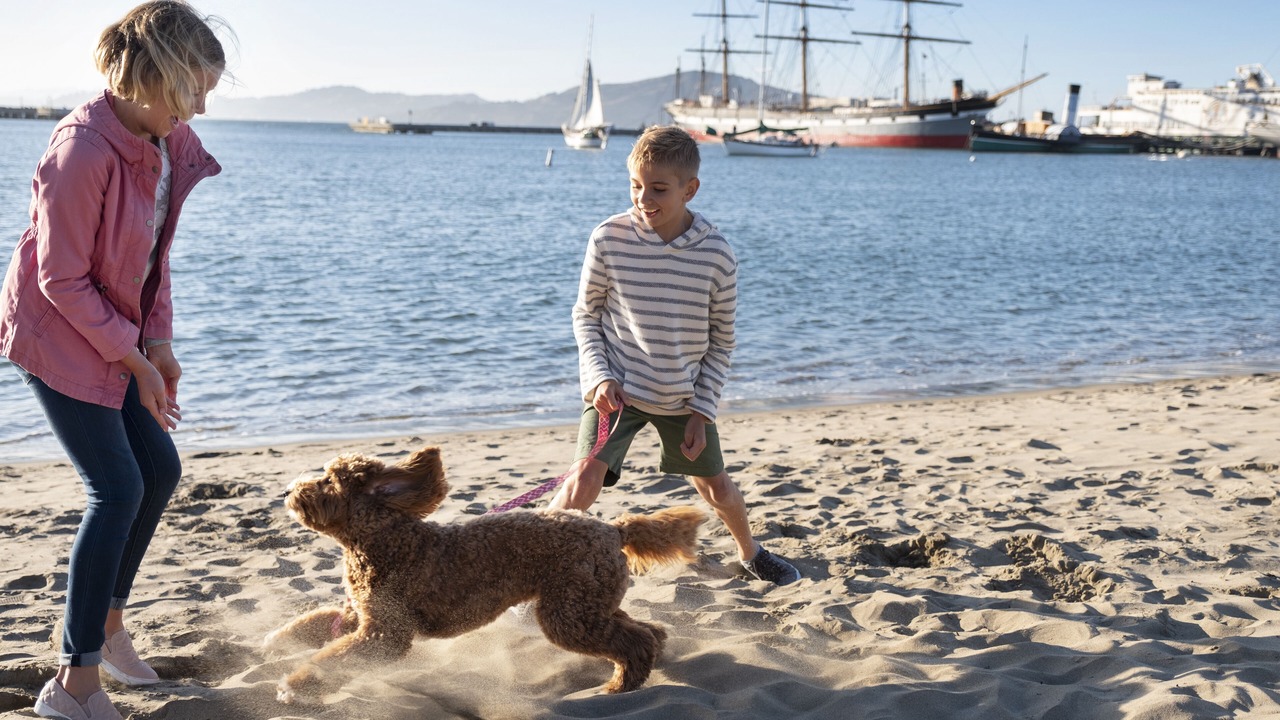 Photo of Others in Fisherman's Wharf