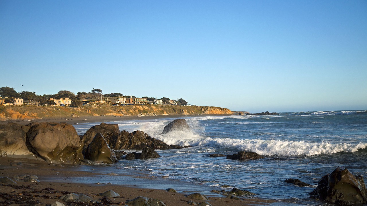 Photo of Others in San Simeon