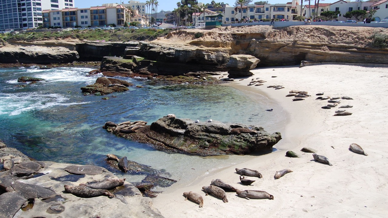 Photo of Others in Village of La Jolla
