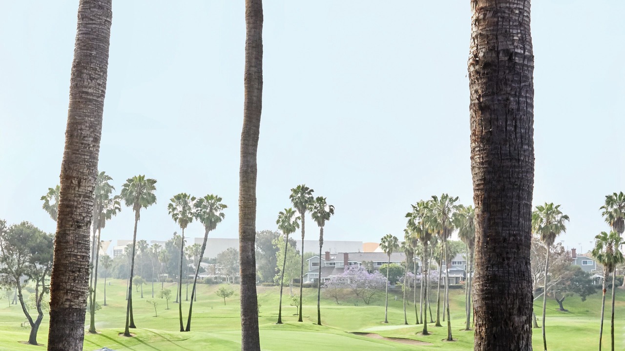 Photo of Outdoor in Manhattan Beach