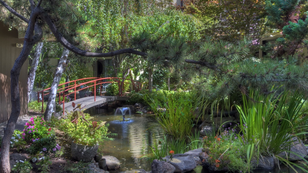Photo of Outdoor in Palo Alto