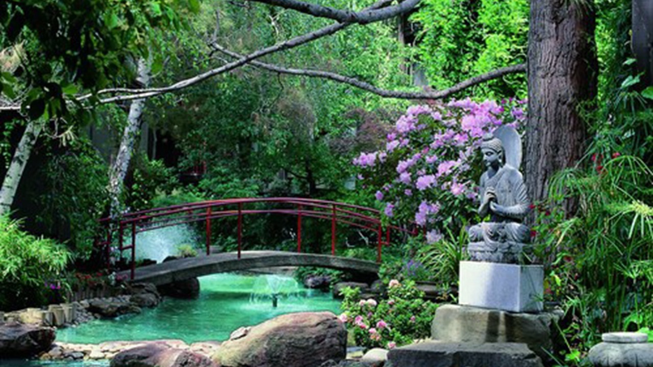 Photo of Outdoor in Palo Alto