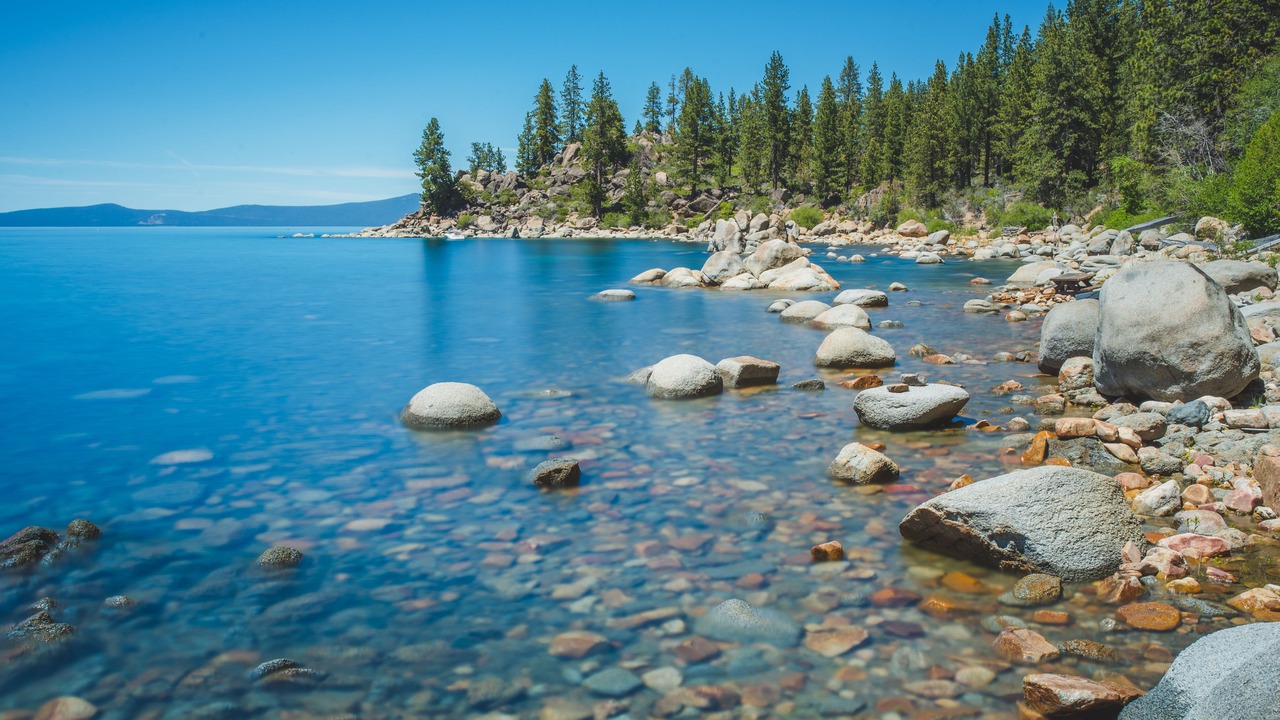 Photo of Others in Tahoe Valley
