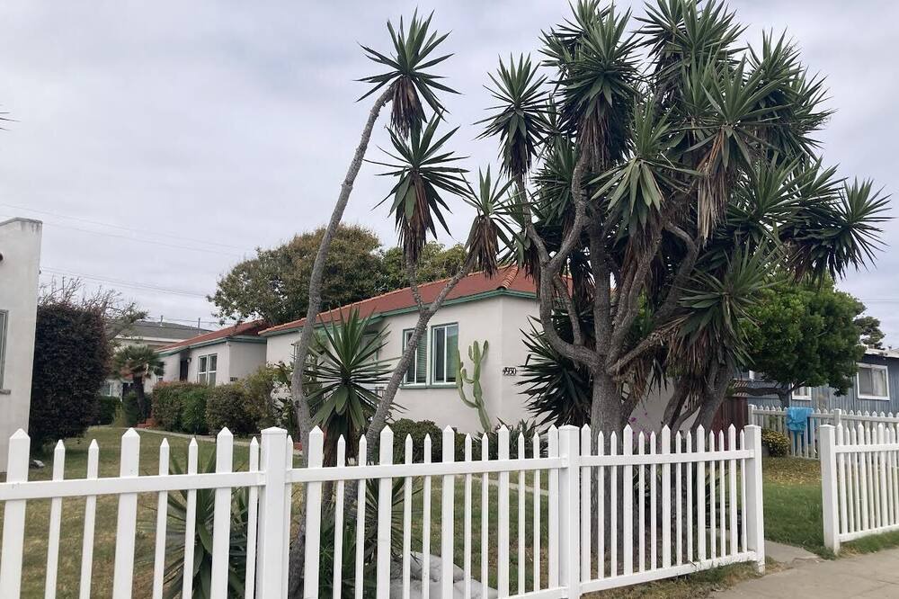 Photo of Outdoor in Ocean Beach