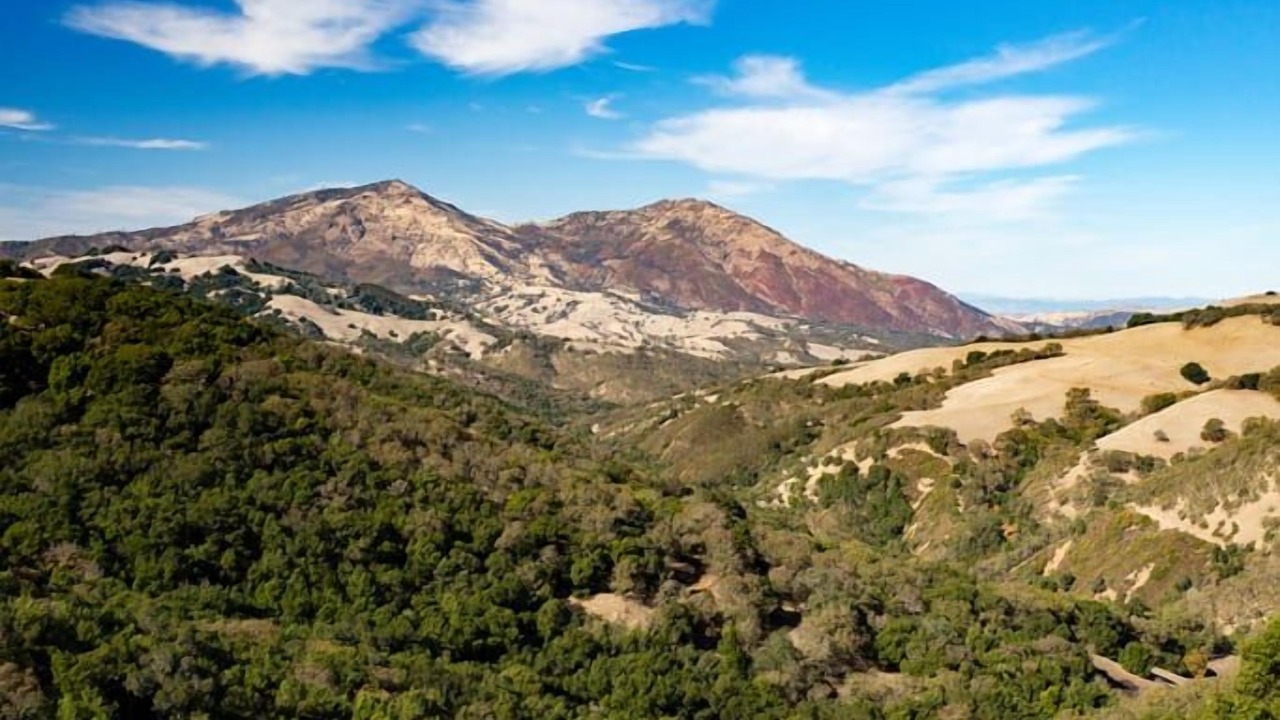 Photo of Outdoor in San Ramon