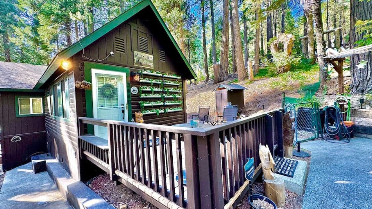 Photo of Outdoor in Pollock Pines