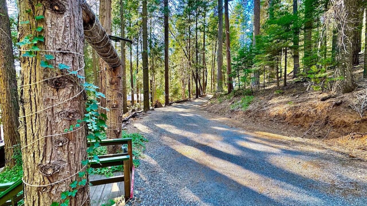 Photo of Outdoor in Pollock Pines