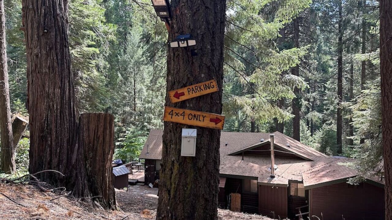 Photo of Outdoor in Pollock Pines