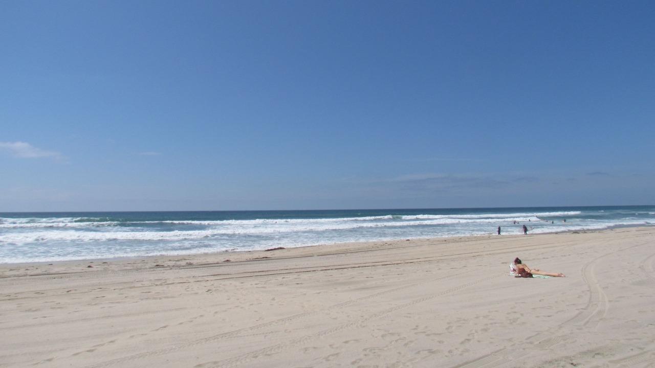 Photo of Others in Central Mission Beach