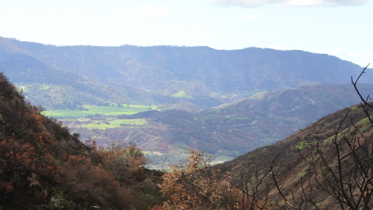 Photo of Others in Ojai
