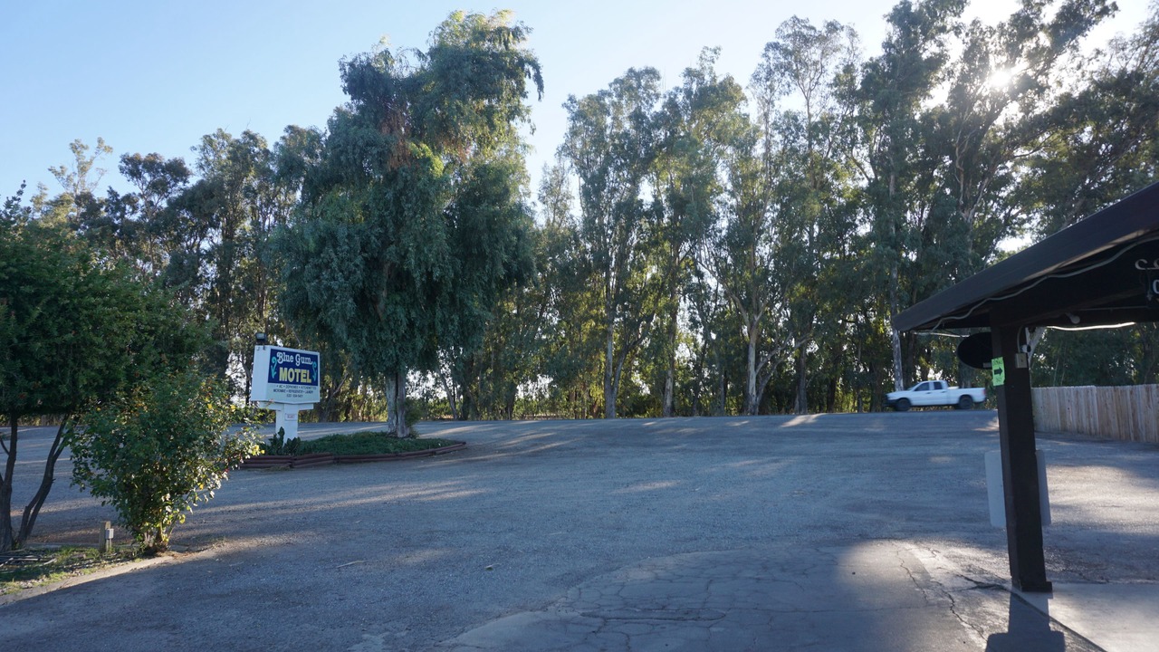 Photo of Others in Willows