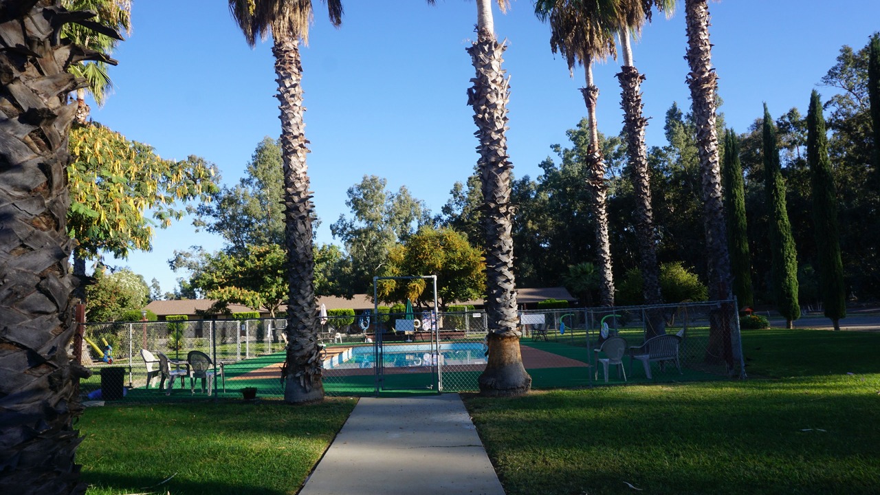 Photo of Outdoor in Willows