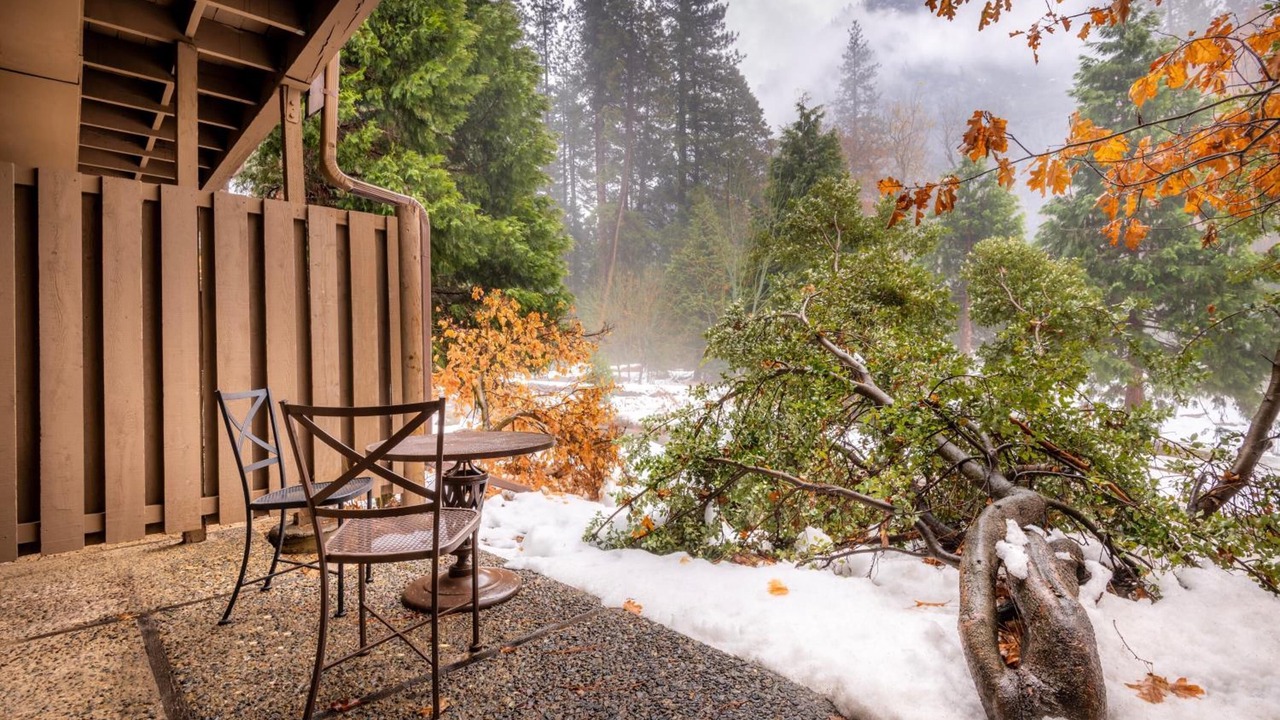 Photo of Outdoor in Yosemite Village