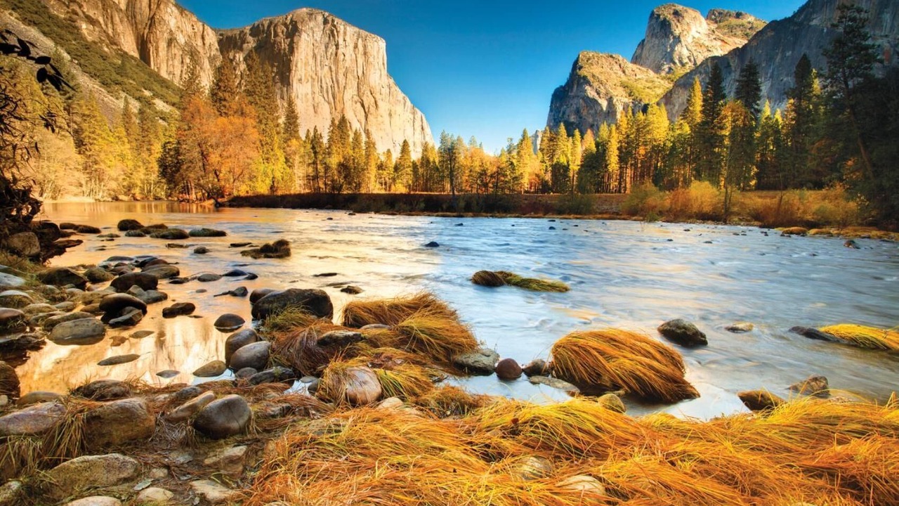 Photo of Others in Yosemite Village