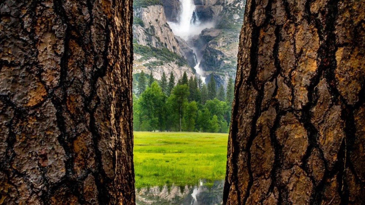 Photo of Outdoor in Yosemite Village