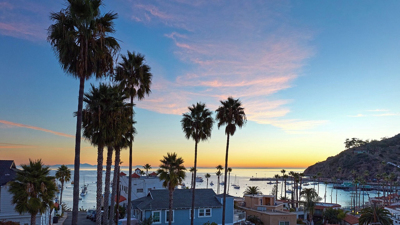Photo of Others in Avalon