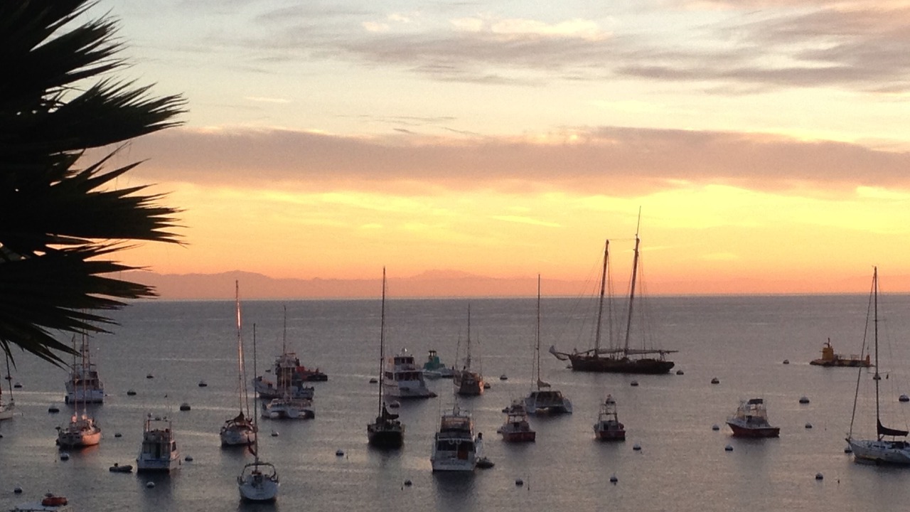 Photo of Others in Avalon