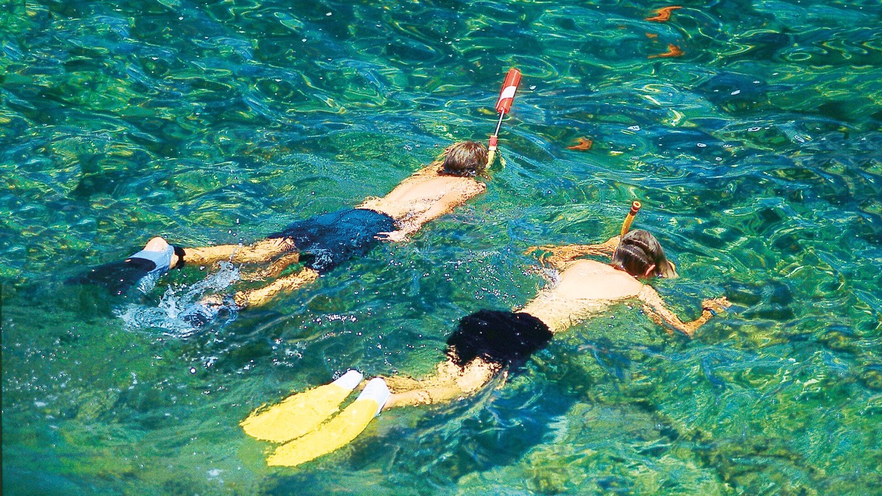 Photo of Others in Avalon