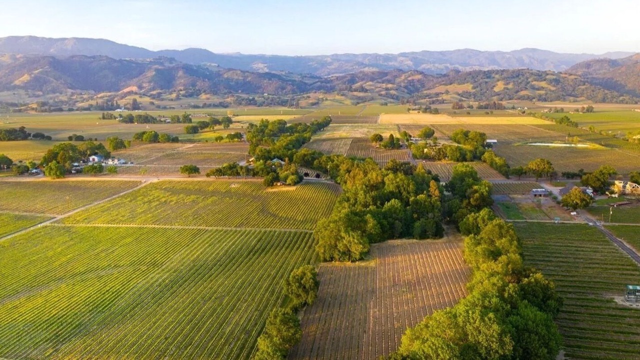 Photo of Outdoor in Geyserville