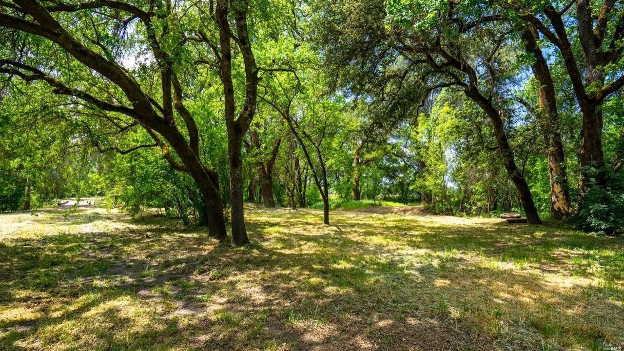 Photo of Others in Geyserville