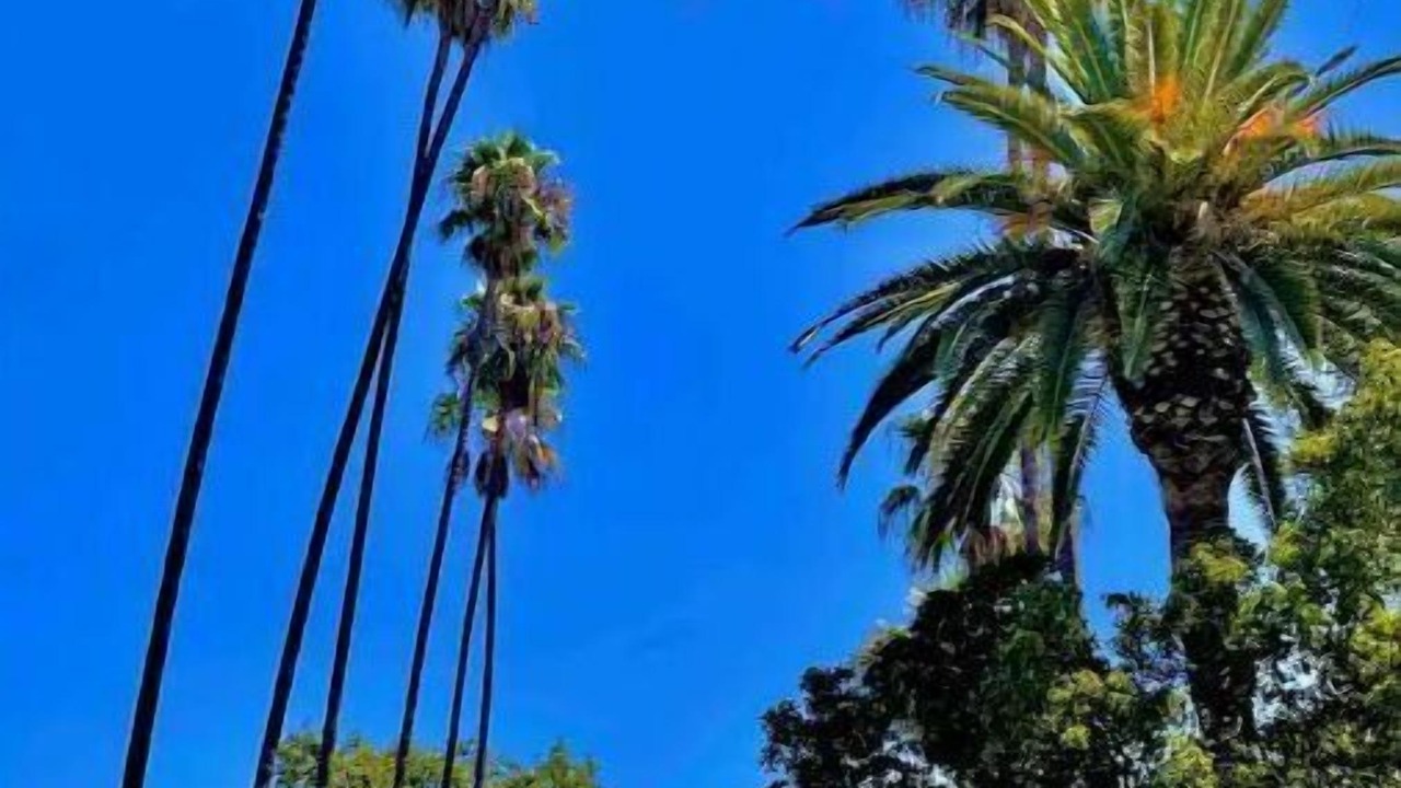 Photo of Others in East San Gabriel