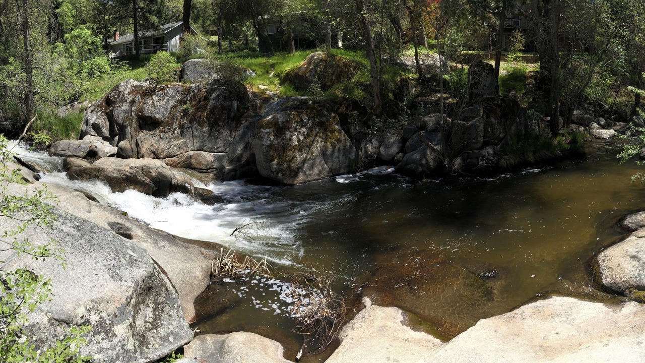Photo of Others in Yosemite Forks
