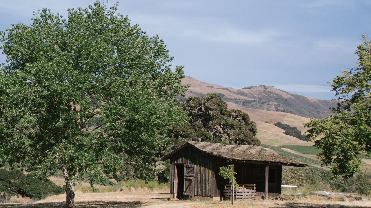 Photo of Others in Santa Barbara Wine Country
