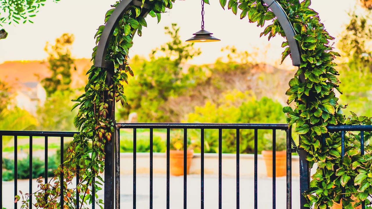 Photo of Outdoor in San Marcos