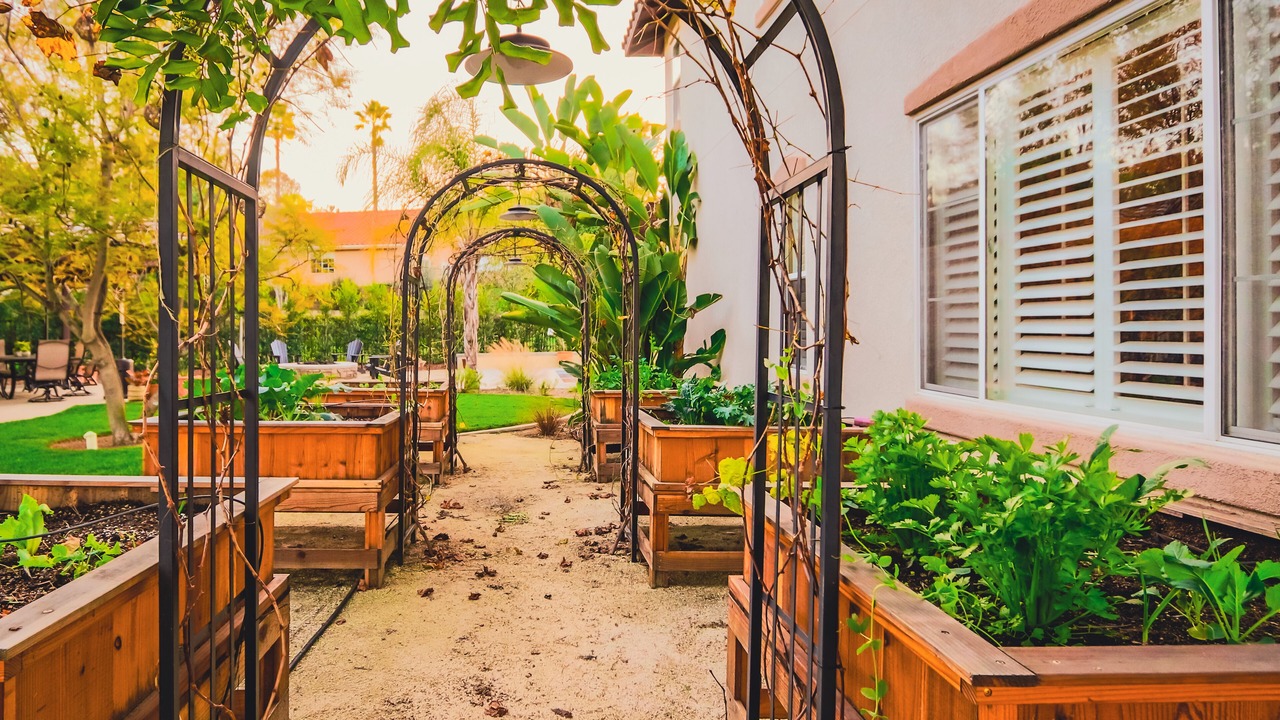 Photo of Patio Balcony in San Marcos