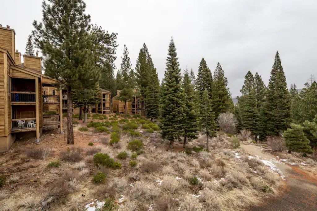 Photo of Others in Truckee