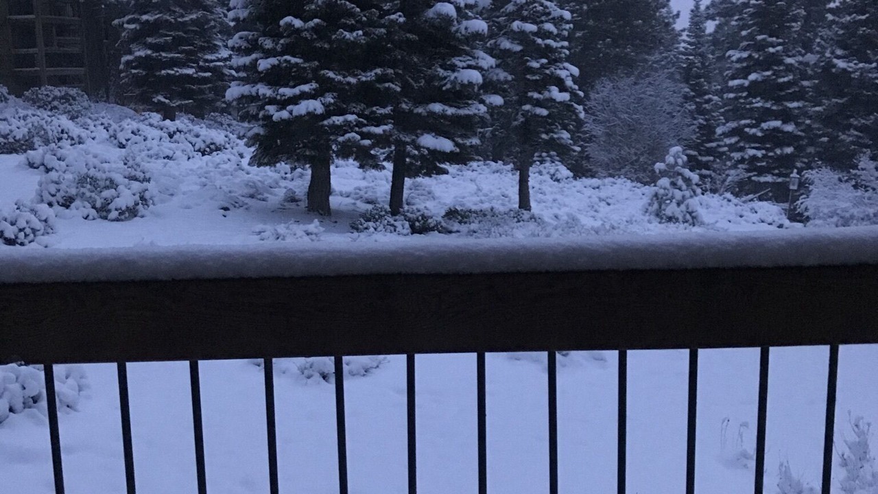 Photo of Others in Truckee