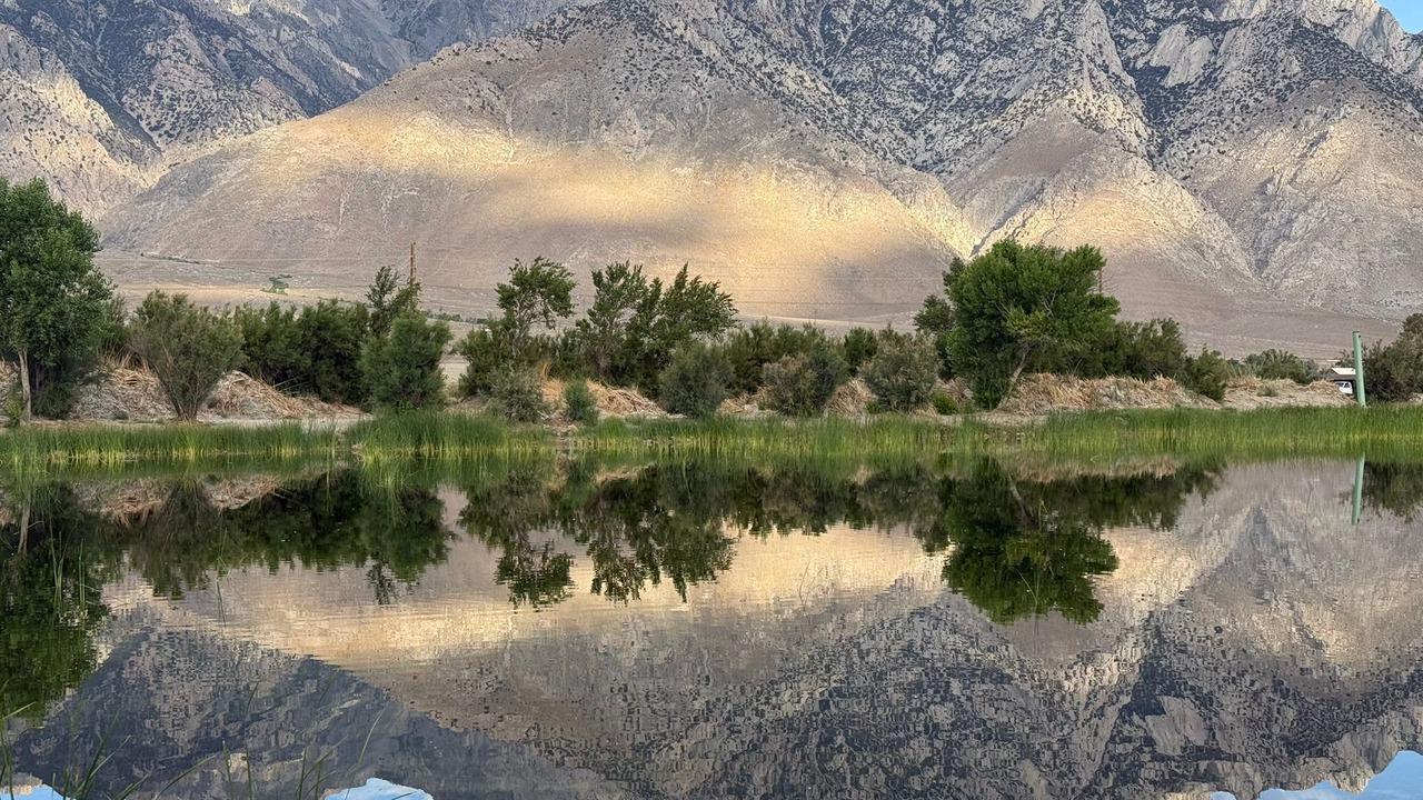 Photo of Others in Olancha