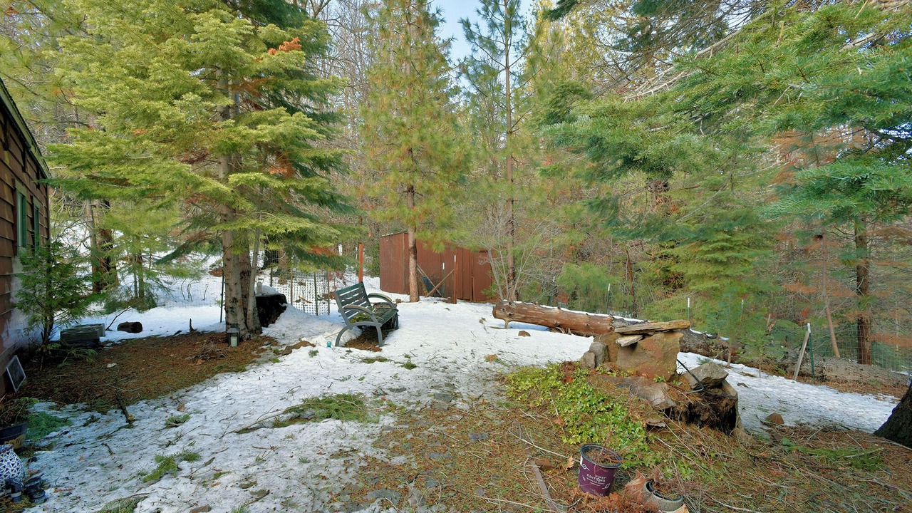 Photo of Outdoor in Weed