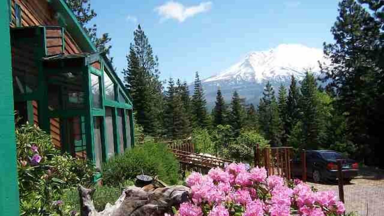 Photo of Outdoor in Weed